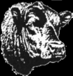 Western Wisconsin Beef Producers Scholarship Application