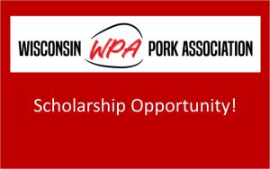 WPA Offers Youth Pig Project Scholarships
