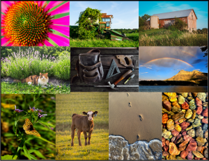 Greeting Cards for Sale