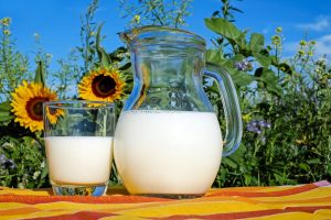 June Dairy Windows