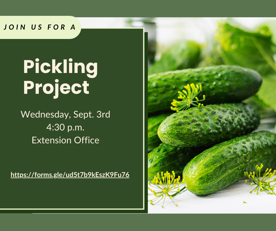Pickle Project Pickling Project – Extension Monroe County